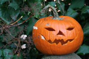 Cafe Morivela ハロウィンフェスティバル2025開催！
